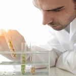 50 Pcs Clear Plastic Test Tubes with Caps