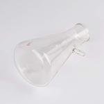 250ml Borosilicate Glass Filtering Flask - StonyLab