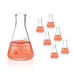 250mL Borosilicate Glass Conical Flask Set of 6