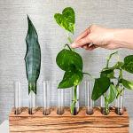 25pcs 45ml Glass Test Tubes with Cork Stoppers