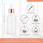 Frosted Glass Essential Oil Dropper Bottle Set