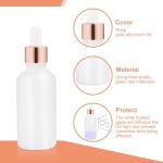 Frosted Glass Essential Oil Dropper Bottle Set