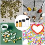 15ml Clear Glass Vials - 8 Pack