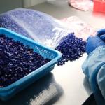 200PCS 9mm HPLC 2ml Autosampler Vial Caps