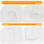 30ml Clear Glass Test Tubes with Screw Caps - 24PCS