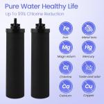 Amwater Stainless Steel Gravity-Fed Water Filter System