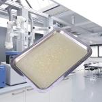 3-Piece Stainless Steel Dissecting Tray Set