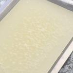 3-Piece Stainless Steel Dissecting Tray Set