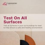 Home Lead Test Kit with 100 Swabs