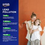 anlab™ Quick Lead Test Kit – 40 Cotton Swabs