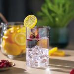 JUVITUS 6-Pack Clear Glass Highball Cups