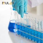 Stainless Steel Test Tube Rack for 12 Tubes