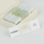 Whole Insects Microscope Slides Set for Education