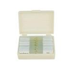 Whole Insects Microscope Slides Set for Education