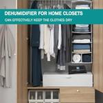 Rechargeable Silica Gel Desiccant Bags - 2 Pack