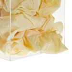 Acrylic Wall Mount Dispenser for Gloves & Covers