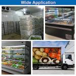 Uharbour Commercial Freezer Thermometer with Capillary Design