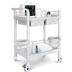 Mobile Medical Utility Cart with 2 Drawers
