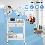 Mobile Medical Utility Cart with 2 Drawers