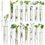 15 Pcs Clear Test Tubes for Plant Propagation