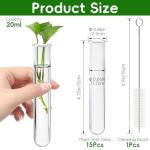 15 Pcs Clear Test Tubes for Plant Propagation