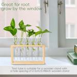 15 Pcs Clear Test Tubes for Plant Propagation