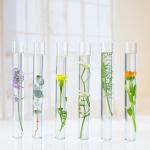 120 Pcs Plastic Test Tubes & Rack Set