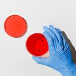 Bekith 50 Pack Petri Dishes with Lids & Pipettes