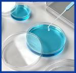 20 Pack Sterile Petri Dishes with Lids & Pipettes