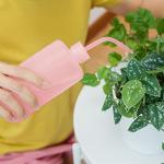 Safety Wash Bottle Set with Silicone Funnel - 250ml