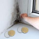 Pack of 10 Pre-Poured Dextrose Agar Petri Dishes