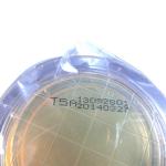 Pack of 10 Pre-Poured Dextrose Agar Petri Dishes