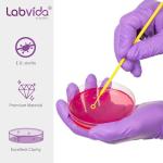 Sterile Petri Dishes - 20 Pack, 150mm Diameter