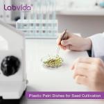 Sterile Petri Dishes - 20 Pack, 150mm Diameter