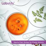 Sterile Petri Dishes - 20 Pack, 150mm Diameter