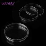 Sterile Petri Dishes - 20 Pack, 150mm Diameter