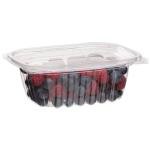 Compostable 12oz Clear Deli Containers with Lids