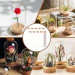 10 Pack 80ml Glass Test Tubes with Cork Stoppers