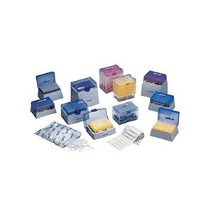 Eppendorf epTIPS Reloads Pipette Tips, 960 Pack