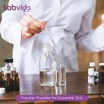 200PCS 3ml Disposable Plastic Transfer Pipettes