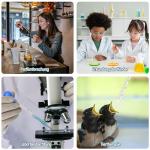 6-Pack Glass Pipettes, 10ml to 0.5ml