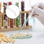 300PCS 3ML Disposable Plastic Transfer Pipettes