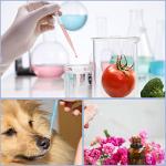 300PCS 3ML Disposable Plastic Transfer Pipettes