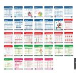 Medical Reference Cards for Healthcare Professionals