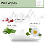 Stay Fresh Travel PH Balanced Flushable Wipes