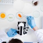 Hemobllo 18cm Round Medium Flow Filter Paper