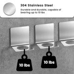 Stainless Steel Wall-Mounted Spray Bottle Holder Set