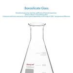 Stonylab 1000 ml Wide Mouth Erlenmeyer Flask