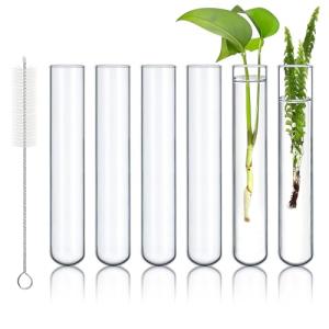 HUAOU 6pcs 100ml Borosilicate Glass Test Tubes