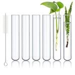 HUAOU 6pcs 100ml Borosilicate Glass Test Tubes